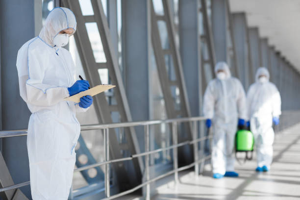Best Attic Mold Removal  in Sawyerwood, OH