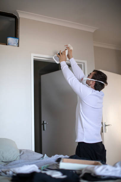 Best Mold Odor Removal Services  in Sawyerwood, OH