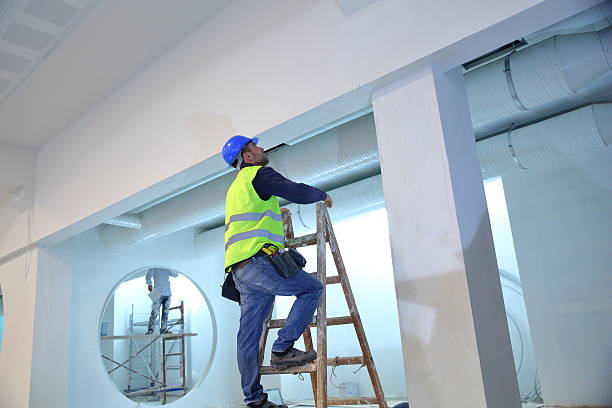 Best Mold Damage Restoration  in Sawyerwood, OH